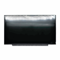 Pantalla LCD de 13.3" 30 Pines